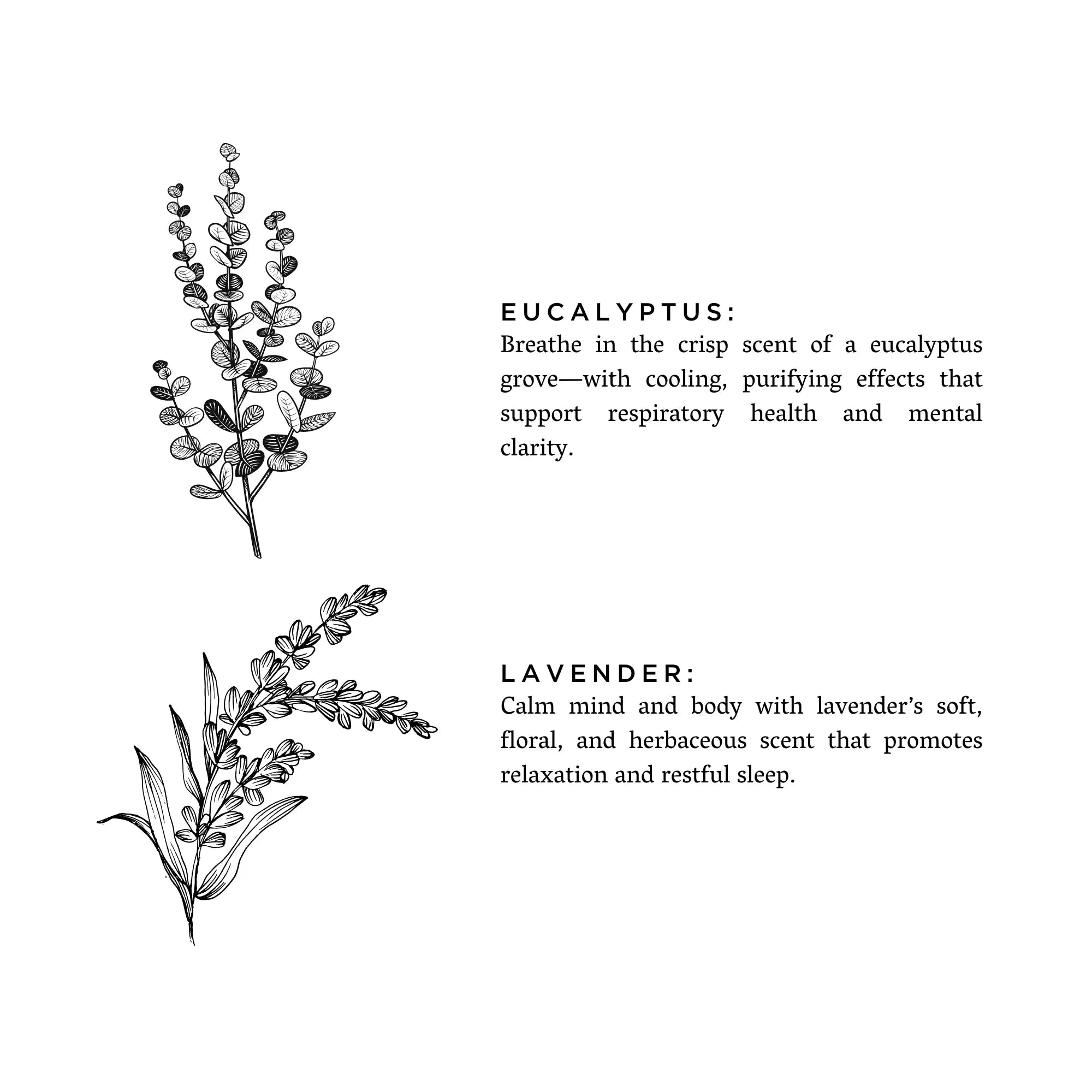 Eucalyptus_Lavender - Rooted Lake Co.