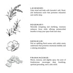 Midnight_Garden - Rooted Lake Co.