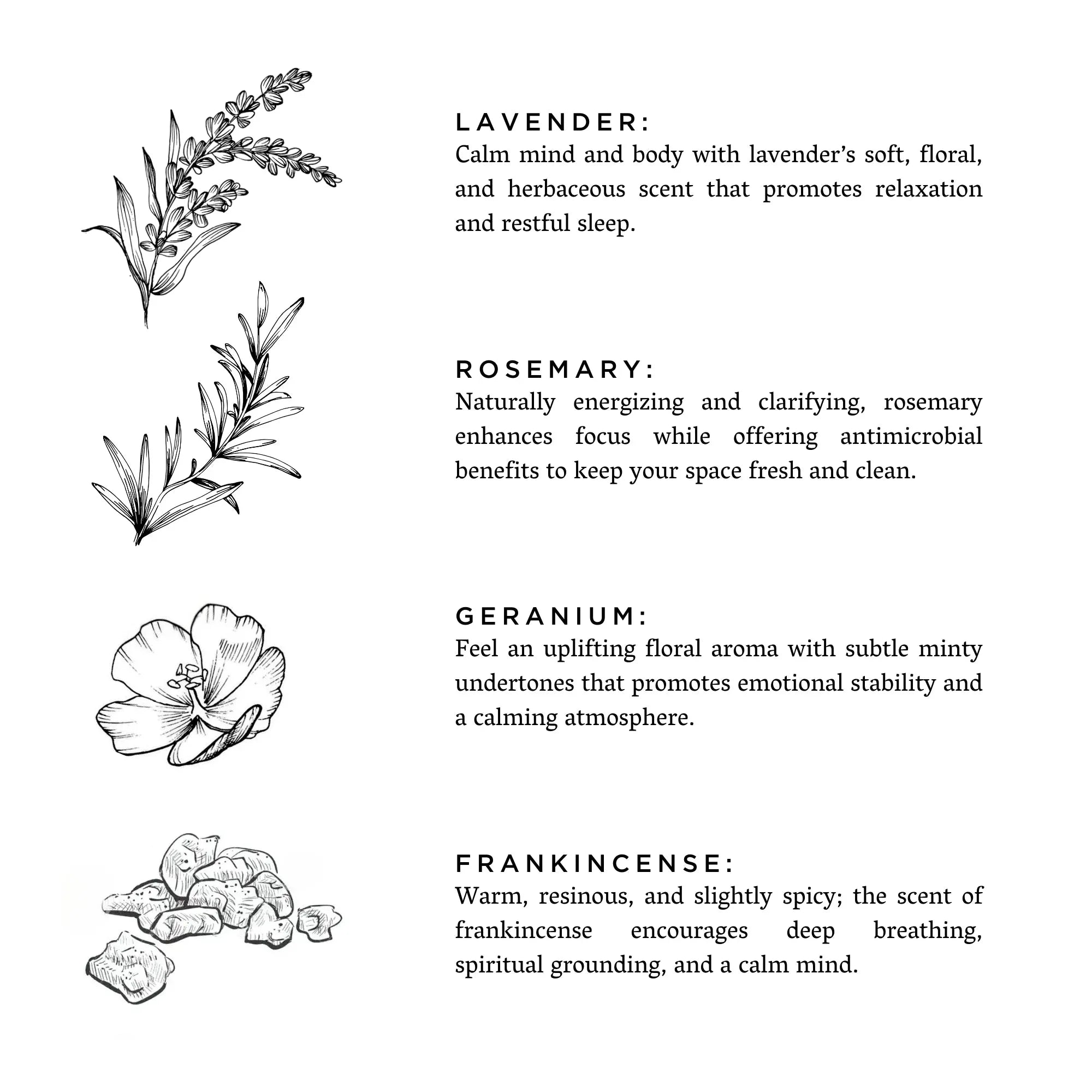 Midnight_Garden - Rooted Lake Co.