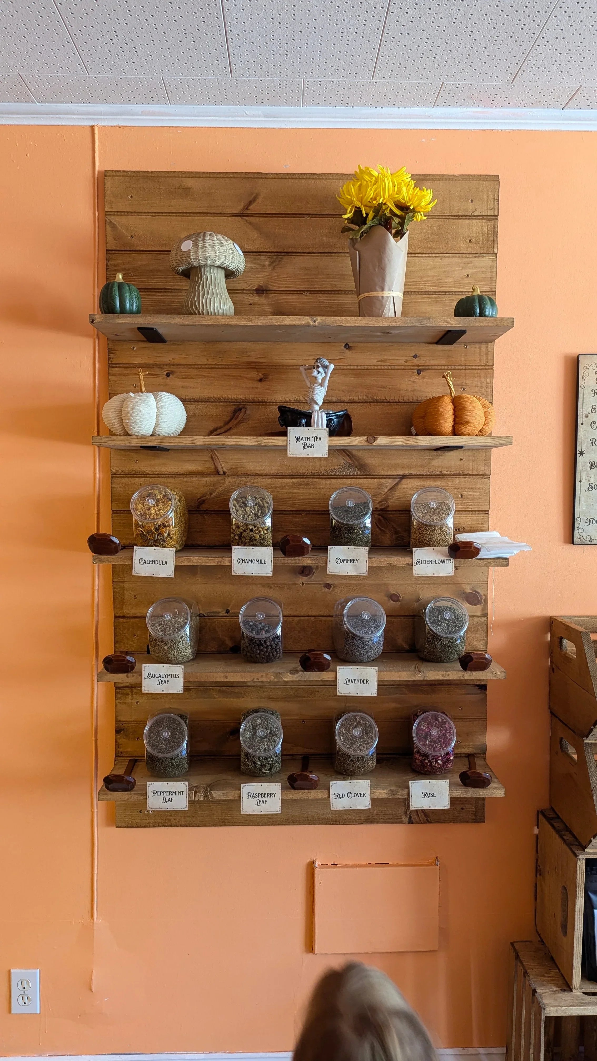 PXL_20241028_202919132 - Rooted Lake Co.