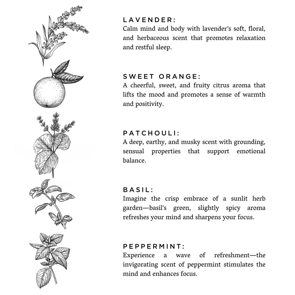 Revive - Rooted Lake Co.