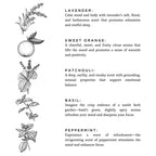 Revive - Rooted Lake Co.