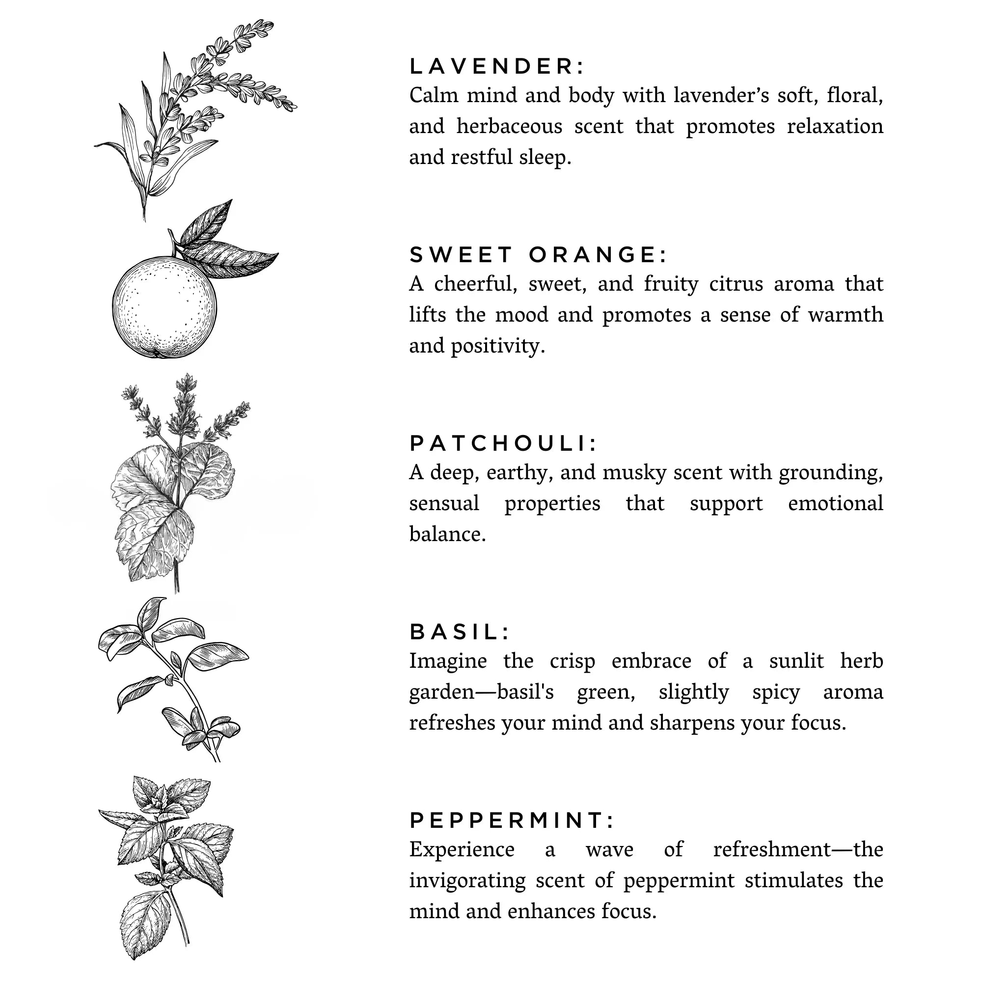 Revive - Rooted Lake Co.